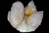 Cactus Quartz (Amethyst) Crystal Cluster - South Africa #132512-1